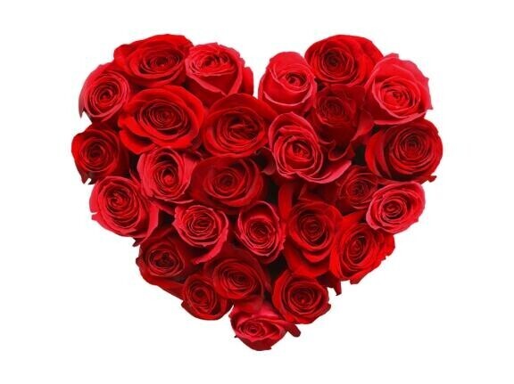 明日12時！！！