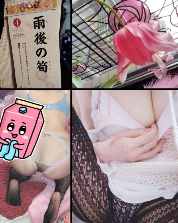 おはようございます?
