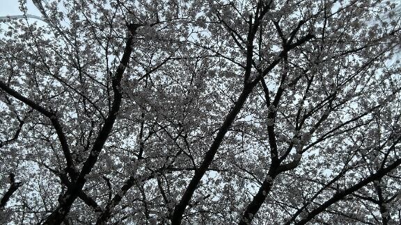 ??出勤しました??