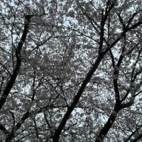 ??出勤しました??