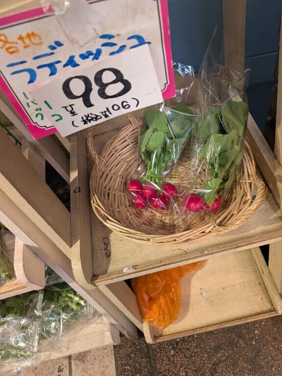 帰りたい(´；ω；｀)