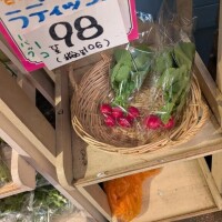 帰りたい(´；ω；｀)