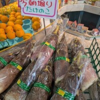 こんにちわ 早く帰りたい 私です(´；ω；｀)