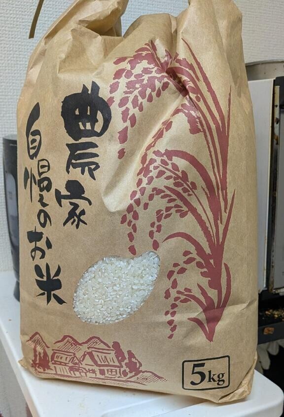 今日は