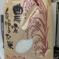 今日は
