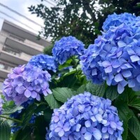 待機中?