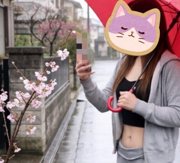 雨と桜の花と赤い傘