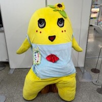 るみ