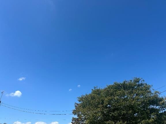 お天気