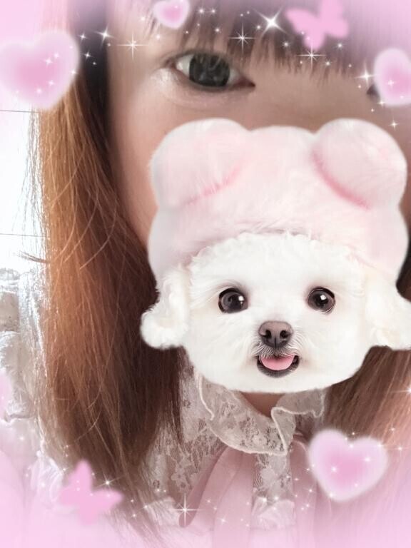 お久しぶりです