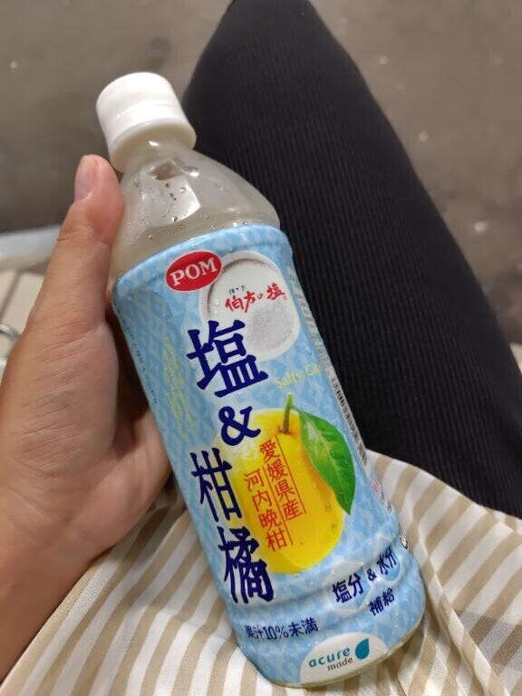 出勤です