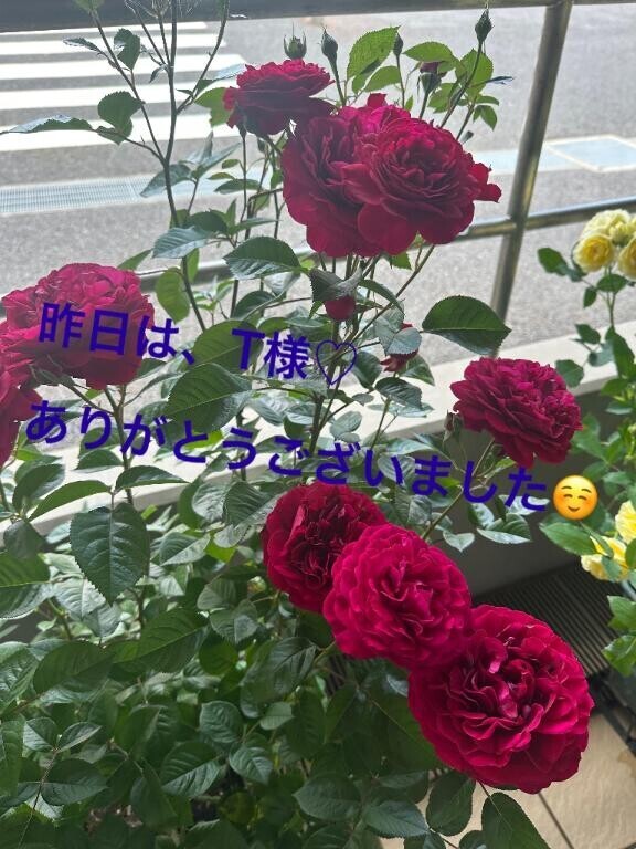 お礼日記??