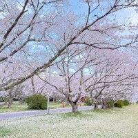 もえ