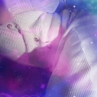 新人せいら