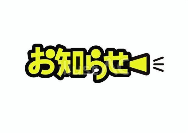 ごめんなさい🙇‍♀️
