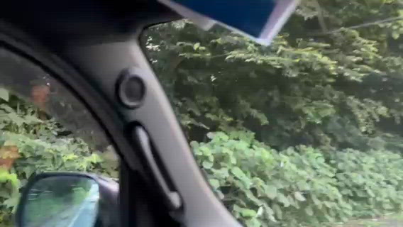 この、虫の声が落ち着く