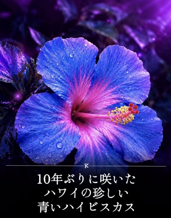 昨日は本当は夜遅くまでいたかった