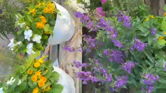 お花