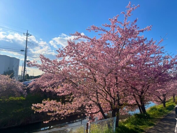お休み🙏🎀