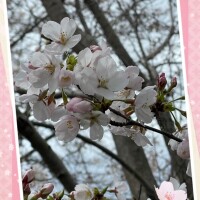 新人みちる