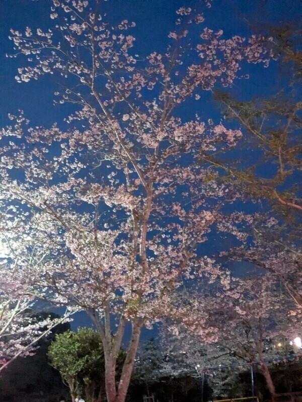 次回♡