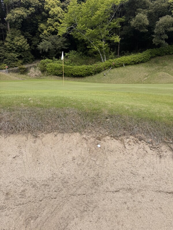 ゴルフにハマり中⛳️