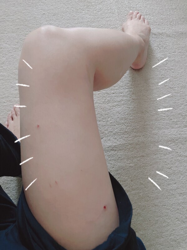 にゃにゃ！