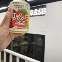 さつき