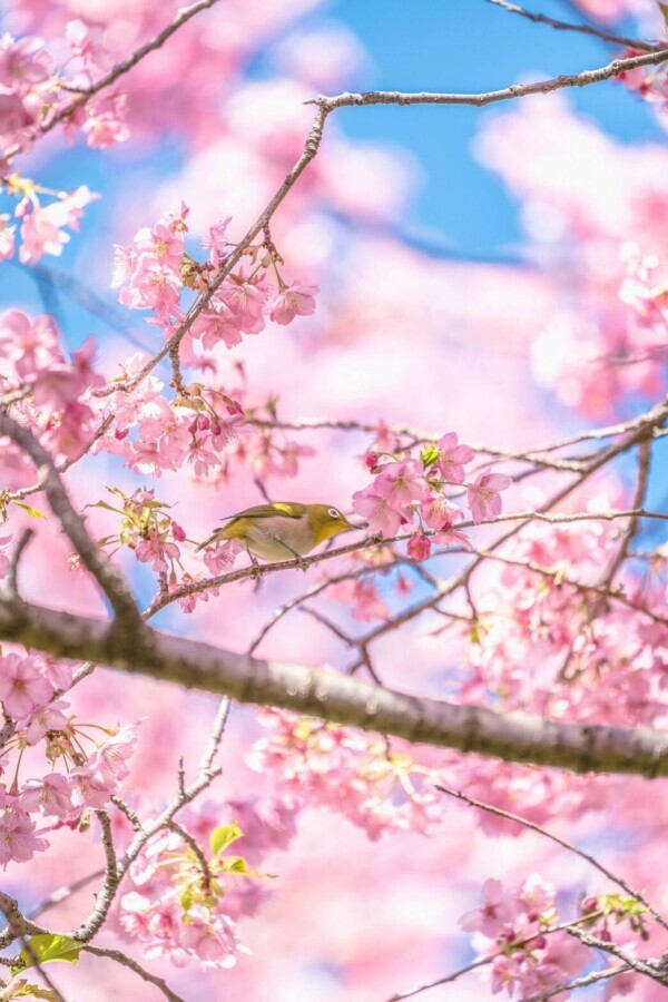 もうすぐじゃなくて