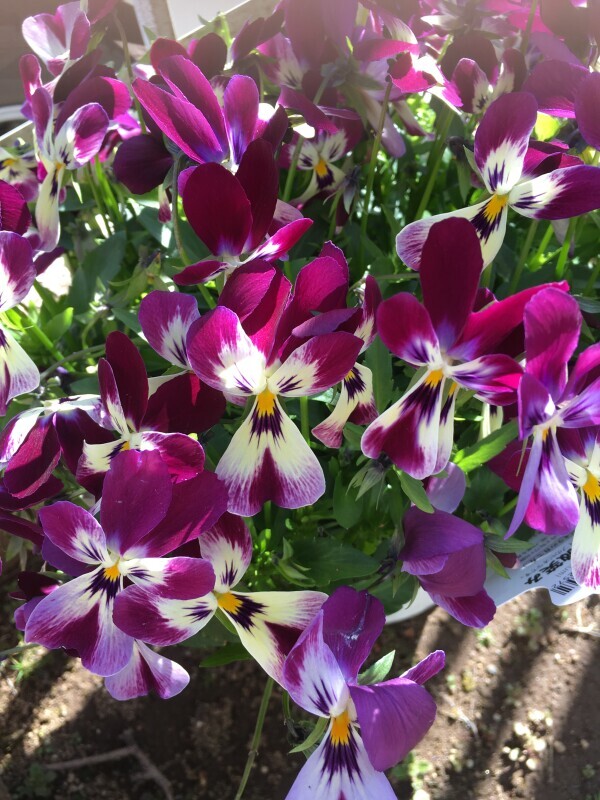 いい天気です♪