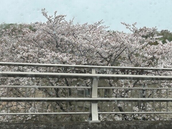 向かっています