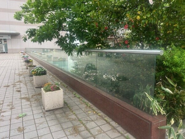 せっかく来たのに