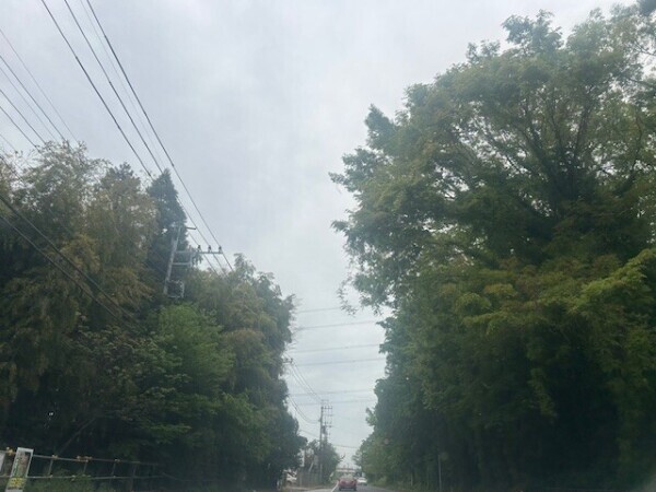 向かっています