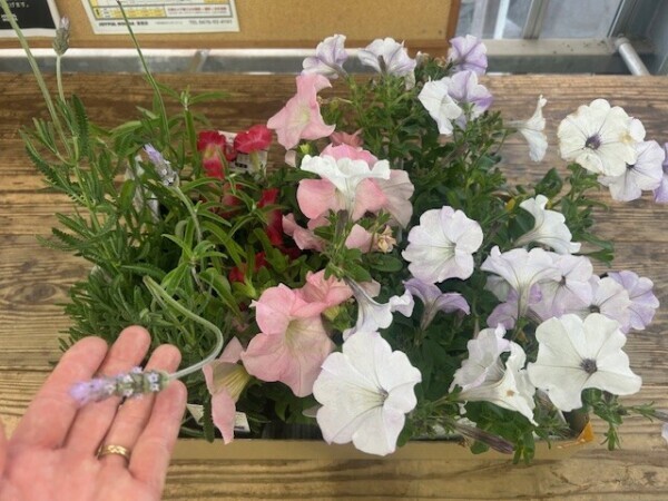 花の香り