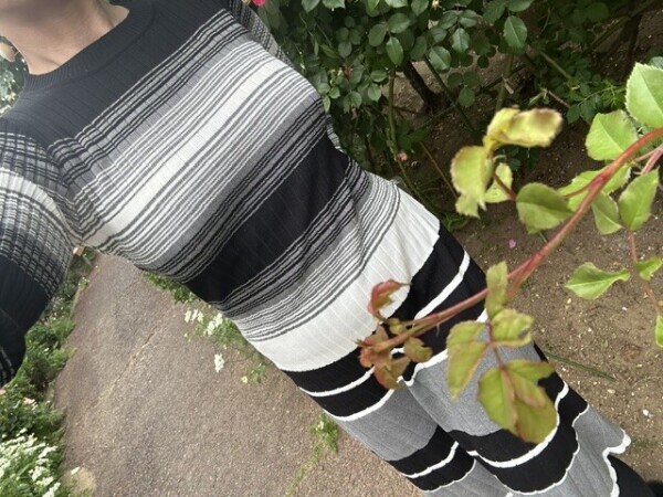 薔薇