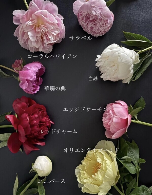 夜の19時までですが