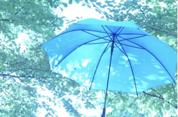 6月🗓️
