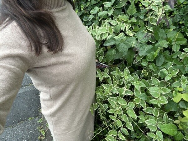 朝の成田もいいですね