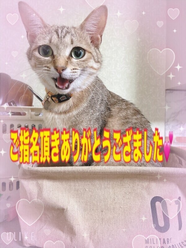 本指名ありがとうございました💓