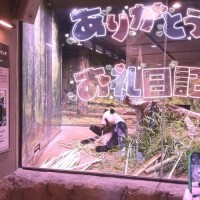 りあな