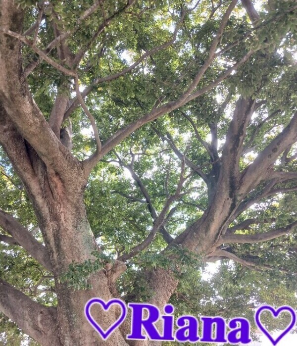 遠方の👩‍❤️‍👨仲良しお兄様へ✍️🍀