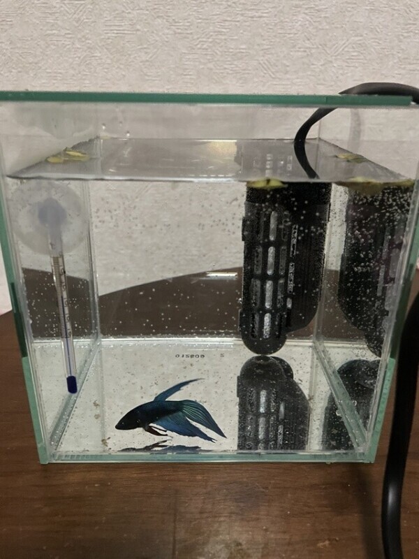 お久しぶりです(o^^o)