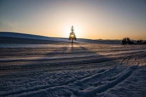 ありがとうございました^_^