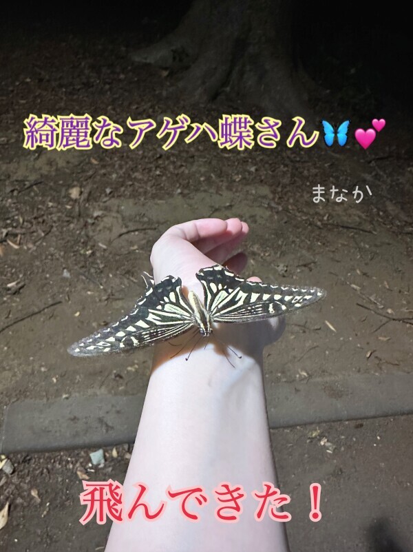 みんなの樹液で