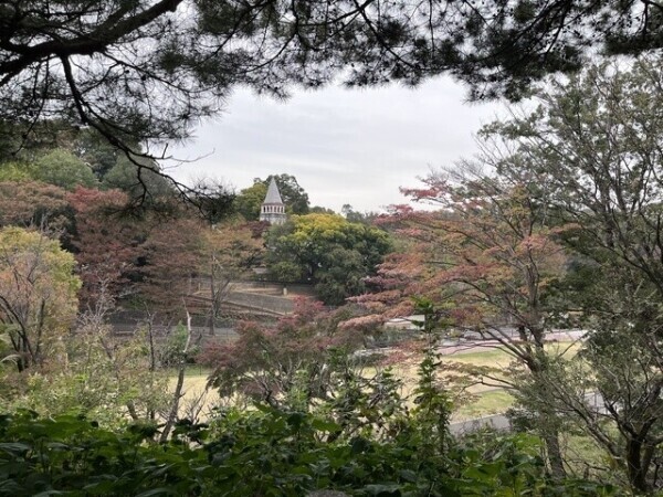 曇ってるー