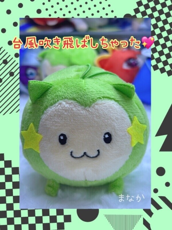 台風吹き飛ばしといたよ💖！笑
