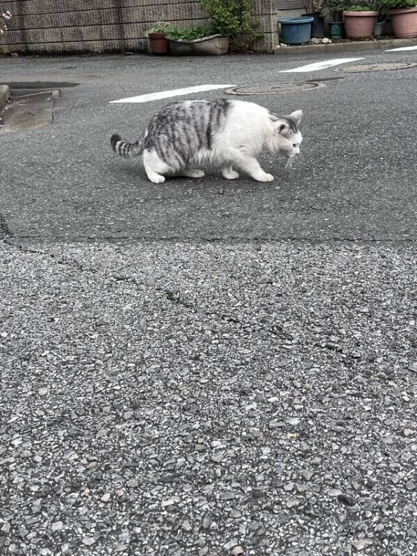 今日もありがとうございました！