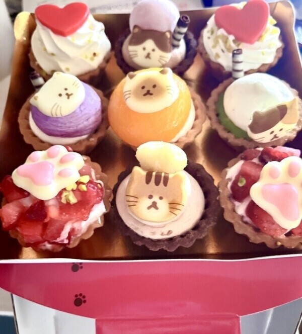 ある意味チートデイ