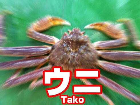 復活からの年末年始おやすみ！