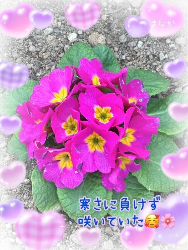 健康ってありがたいね…！💖🌼